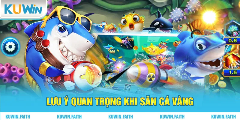 Lưu ý quan trọng khi săn cá vàng